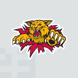 Moncton wildcats